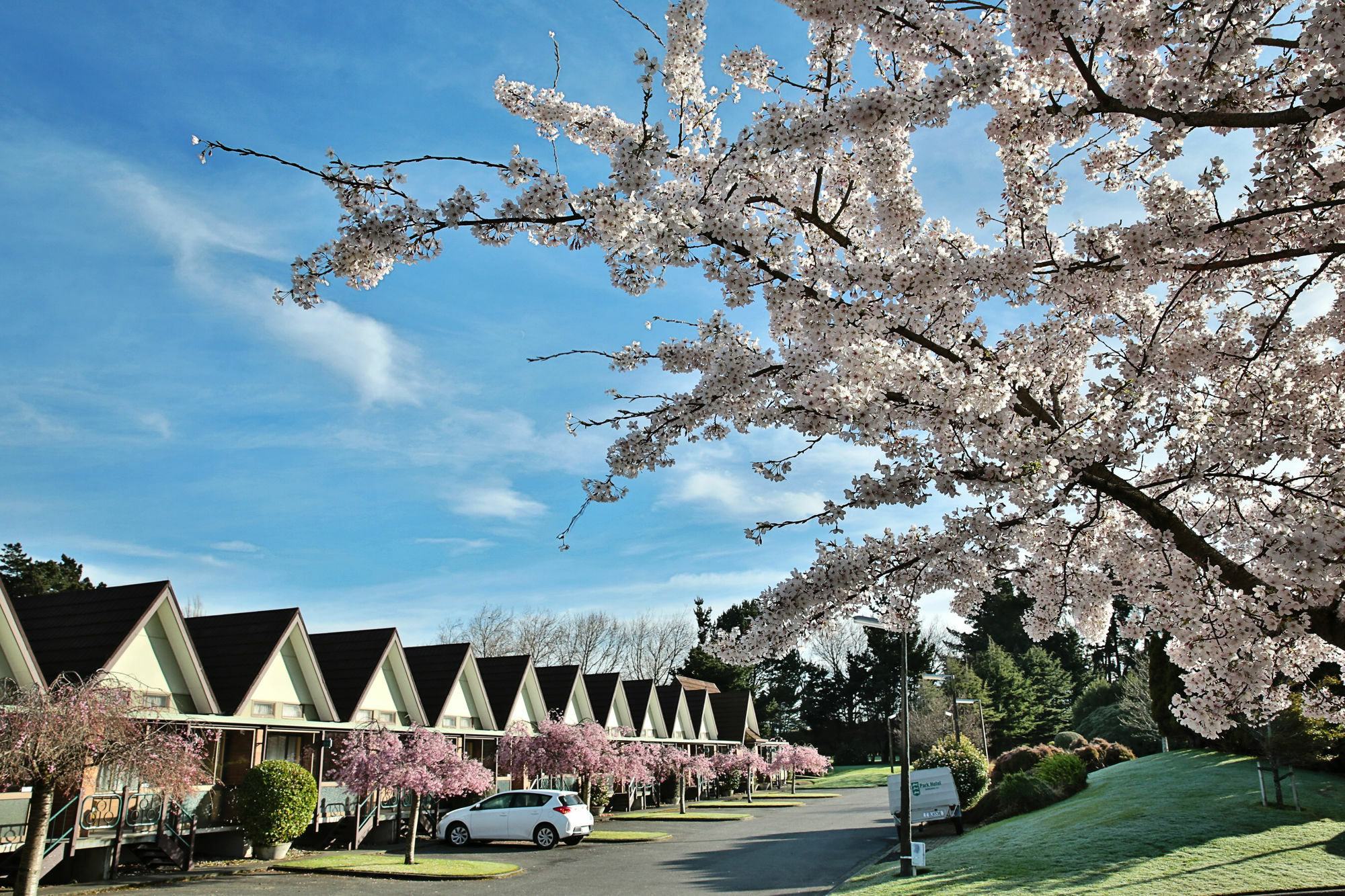Ascot Park Hotel Invercargill Exterior photo
